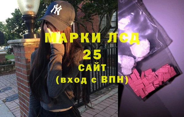 хмурый Арсеньев