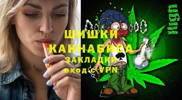 хмурый Арсеньев