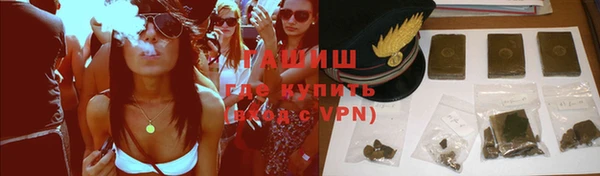хмурый Арсеньев