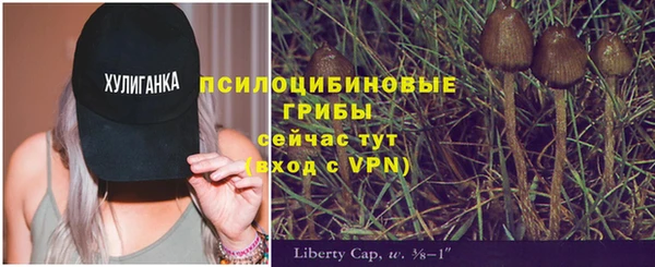 хмурый Арсеньев