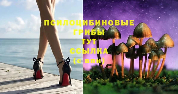 хмурый Арсеньев