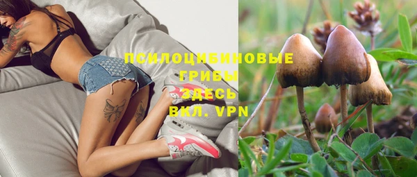 хмурый Арсеньев