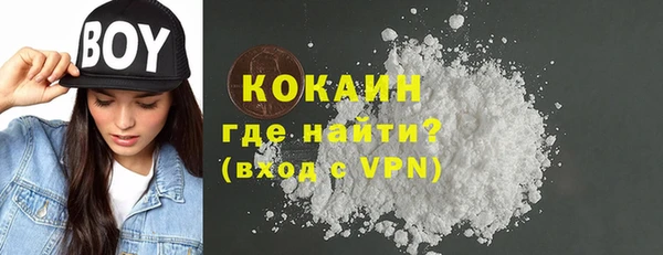 хмурый Арсеньев