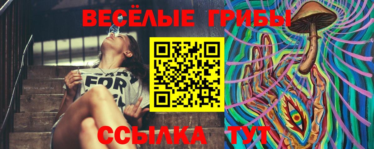 Галлюциногенные грибы MAGIC MUSHROOMS  Вход с VPN  Солнечногорск 